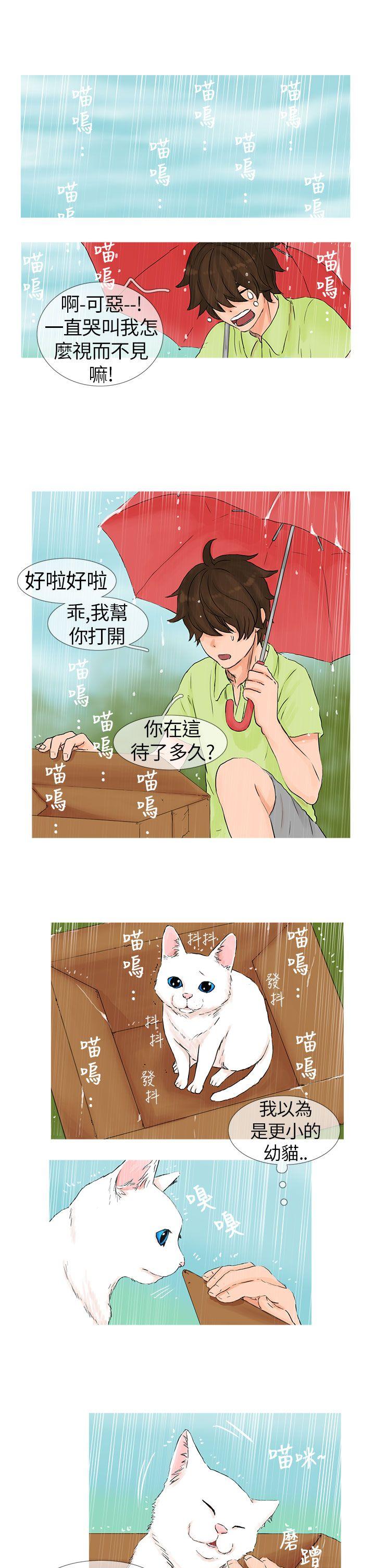 小野猫驯服手册  第1话 漫画图片5.jpg