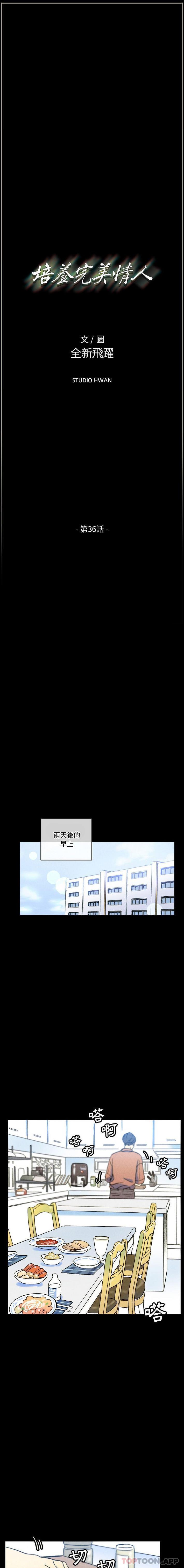 韩国污漫画 完美情人養成記 第36话 1