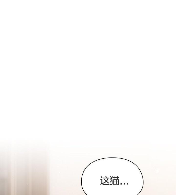 韩国污漫画 貓貓牽紅線 第24话 6