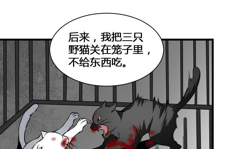 纹身师  第12话虐猫狂人 漫画图片32.jpg