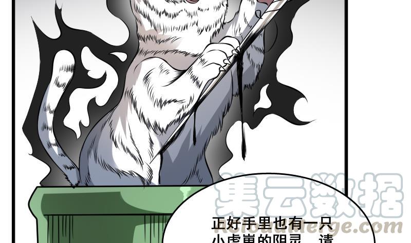 纹身师  第6话猛虎护虎图 漫画图片11.jpg