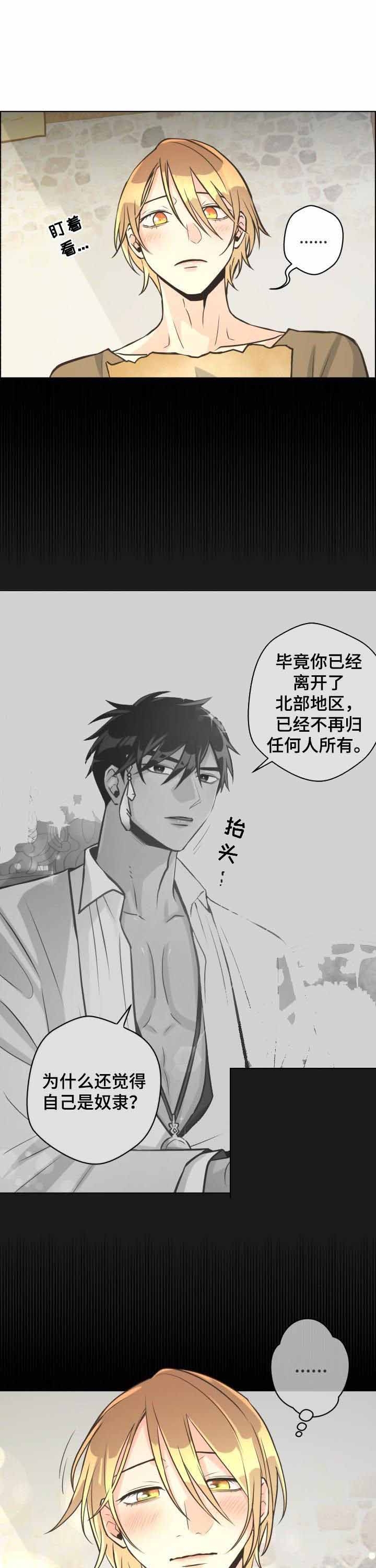 逃跑计划  第41话 漫画图片7.jpg